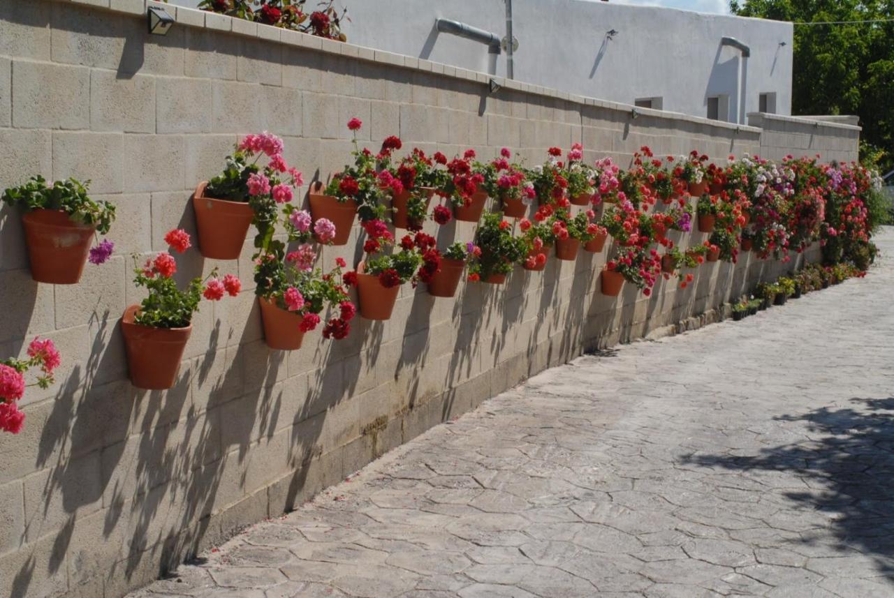 Pueblos Blancos Vejer de la Frontera Ngoại thất bức ảnh